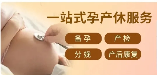 牵牛花分割线