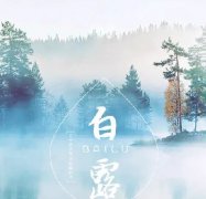 白露|露已凝,夜微凉,请好好照顾自己