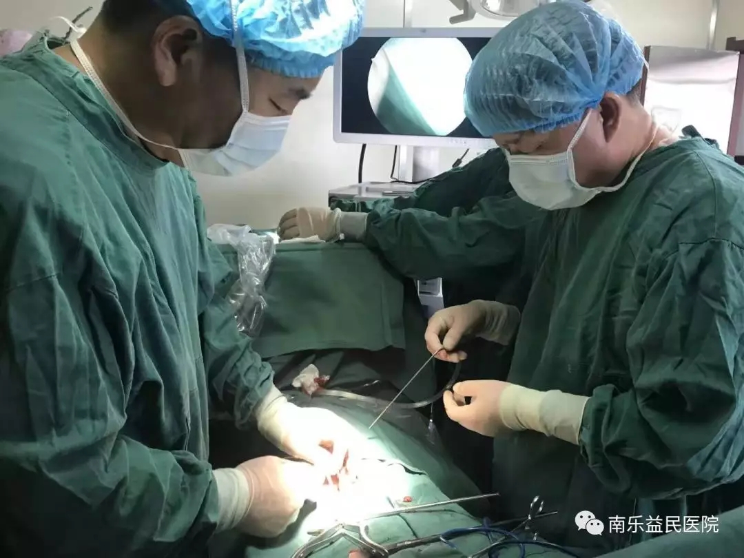 聚焦临床丨勿以“疝”小而不为————南乐益